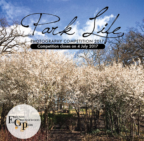 Park Life – Photo Competition