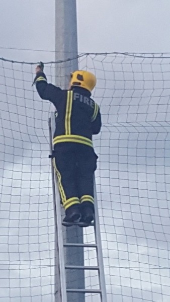 FIREFIGHTERS RESCUE PARAKEET!