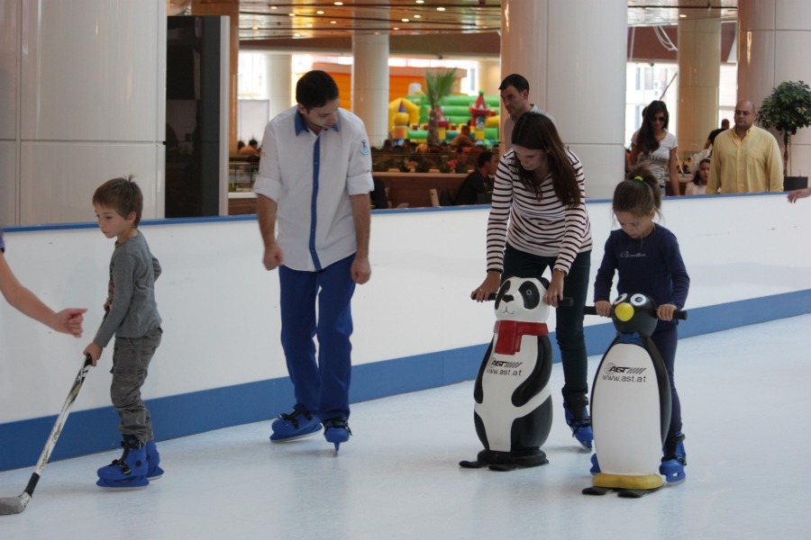 ICE RINK APPEAL REACHES TARGET