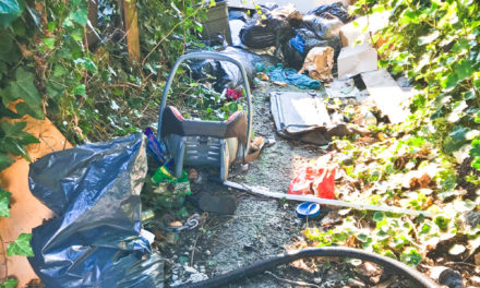 RESIDENTS CONDEMNED FOR USING FOOTPATH AS A DUMP