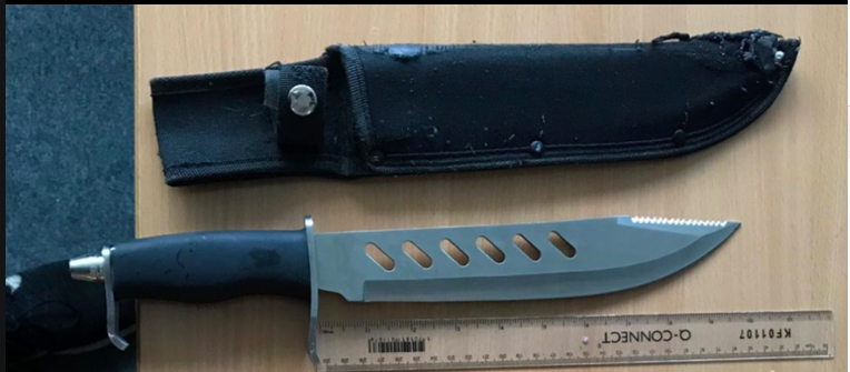 Drugs and weapons seized in Thornton Heath