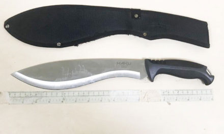 Deadly Array of Knives Seized by Taskforce